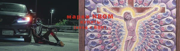 spice Богородицк