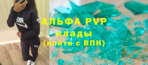 гашик Богданович