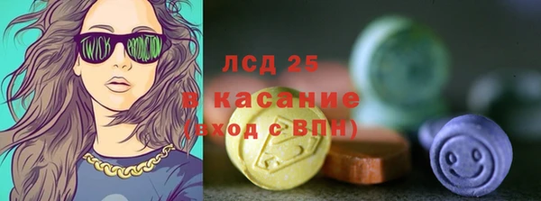 spice Богородицк