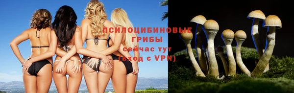 гашиш Белокуриха