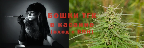 гашик Богданович