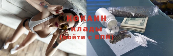 гашик Богданович