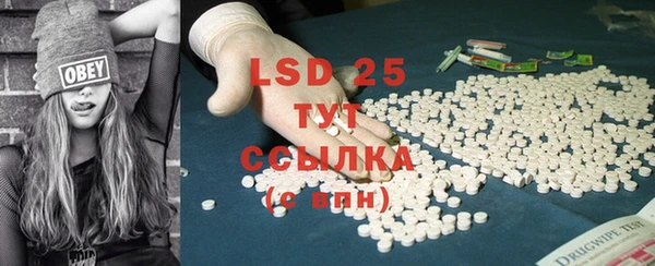 spice Богородицк
