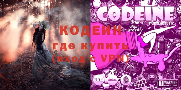 гашик Богданович