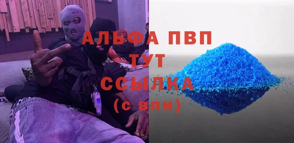 гашик Богданович