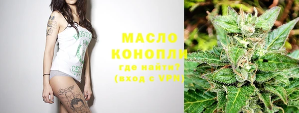 spice Богородицк